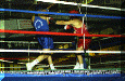 Pugilato-01.gif (61003 byte)