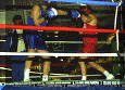 Pugilato-04.gif (74175 byte)