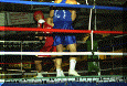 Pugilato-05.gif (66949 byte)