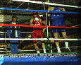 Pugilato-06.gif (65488 byte)