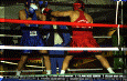 Pugilato-07.gif (61637 byte)