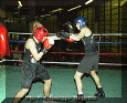 z-Pugilato-01.gif (82209 byte)