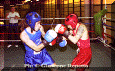 z-Pugilato-02.gif (67554 byte)
