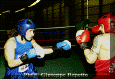 z-Pugilato-04.gif (64303 byte)