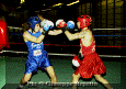 z-Pugilato-05.gif (61129 byte)