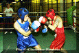 z-Pugilato-06.gif (75159 byte)