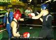 z-Pugilato-07.gif (73030 byte)