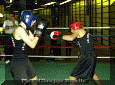 z-Pugilato-08.gif (76566 byte)