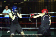 z-Pugilato-09.gif (64452 byte)