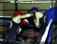 z-Pugilato-10.gif (75990 byte)