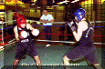 z-Pugilato-13.gif (71414 byte)
