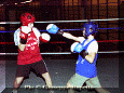 z-Pugilato-17.gif (66940 byte)