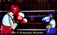 z-Pugilato-18.gif (55447 byte)