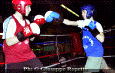 z-Pugilato-19.gif (58221 byte)