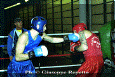 z-Pugilato-22.gif (67406 byte)