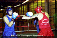 z-Pugilato-23.gif (71548 byte)