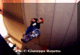 007.gif (55971 byte)
