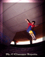 014.gif (67038 byte)