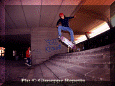 015.gif (76723 byte)
