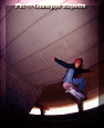 016.gif (72470 byte)