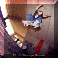 It-Sk-004.gif (83581 byte)