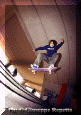 It-Sk-008.gif (65453 byte)