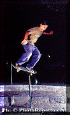 It-Sk-013.gif (65359 byte)