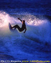 Alex-001.gif (90409 byte)