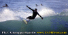 Alex-003.gif (54993 byte)