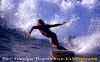 Beppe-001.gif (82093 byte)