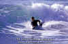 11-03-Bughy-005.jpg (51908 byte)