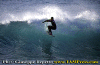 Cel-Varazze-1.gif (67647 byte)