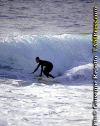 Cel-Varazze-3.gif (71976 byte)