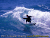 Cel-Varazze-5.gif (98715 byte)