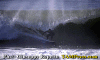 Entella.gif (50909 byte)
