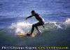 Davide-01.gif (76641 byte)