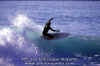 11-03-Ettore-006b.jpg (45481 byte)