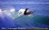 04-Fabietto-001-copy.gif (80965 byte)