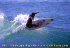 04-Fabietto-001.gif (92075 byte)