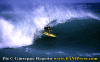 Fabietto.gif (61185 byte)
