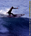 Fabio-04.gif (89908 byte)