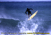a-015.gif (75982 byte)