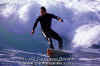 11-03-Filippo-003.jpg (49616 byte)