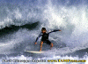 Filo-001.gif (94836 byte)