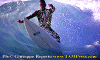 02-Fiore-005.gif (77996 byte)