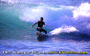02-Fiore-008.gif (82213 byte)