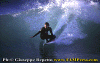 Luca-F.-001.gif (69958 byte)