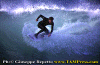 Luca-F.-002.gif (73810 byte)