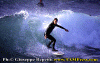 Luca-F.-003.gif (73244 byte)