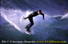 Luca-F.-004.gif (79501 byte)